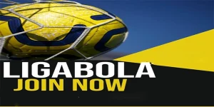 Bola666 Vip